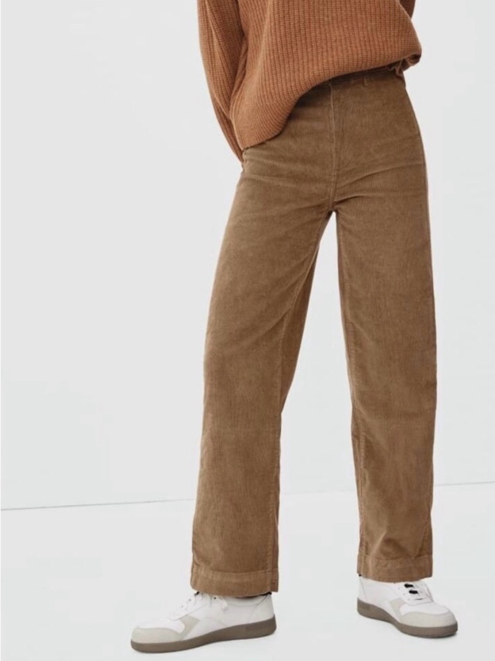 Brown Everlane Corduroy Pants